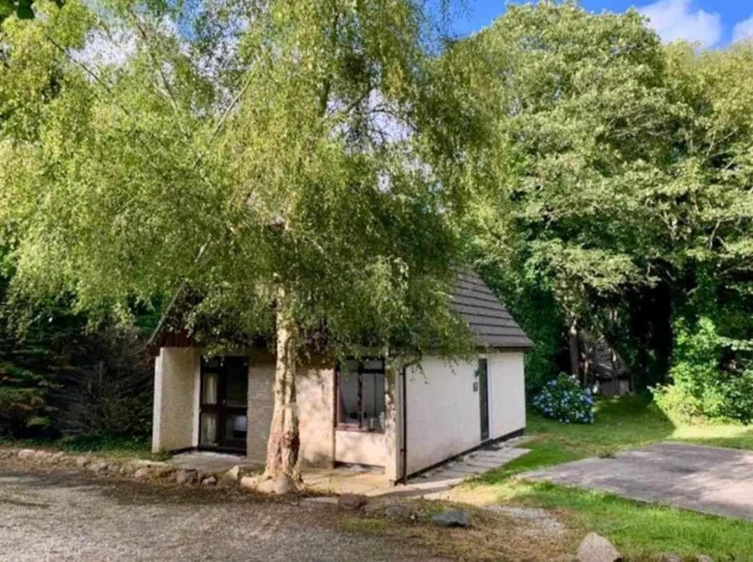 St Ives Bluebell Cottage ภายนอก รูปภาพ